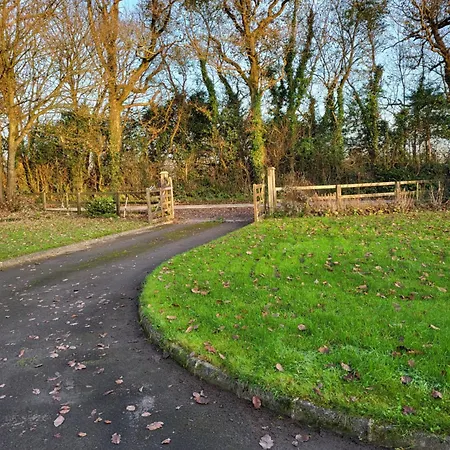 Rum i privatbostad Beech