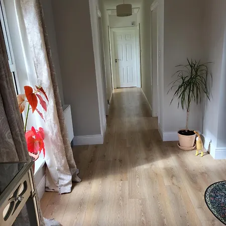 Accommodatie bij particulieren Beech Wexford
